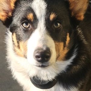 Meet your Posher, Miah